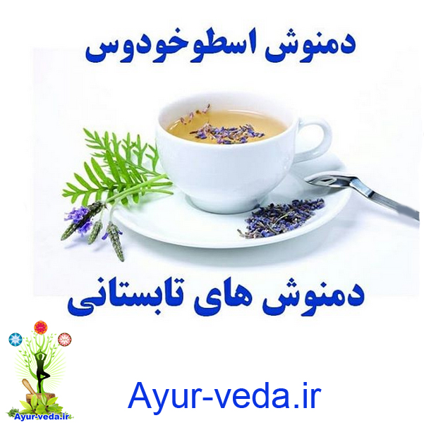 دمنوش اسطوخودوس