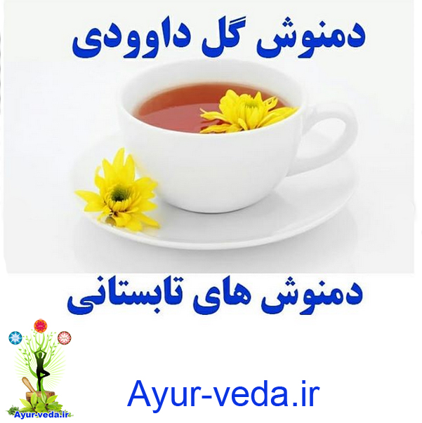 دمنوش گل داوودی