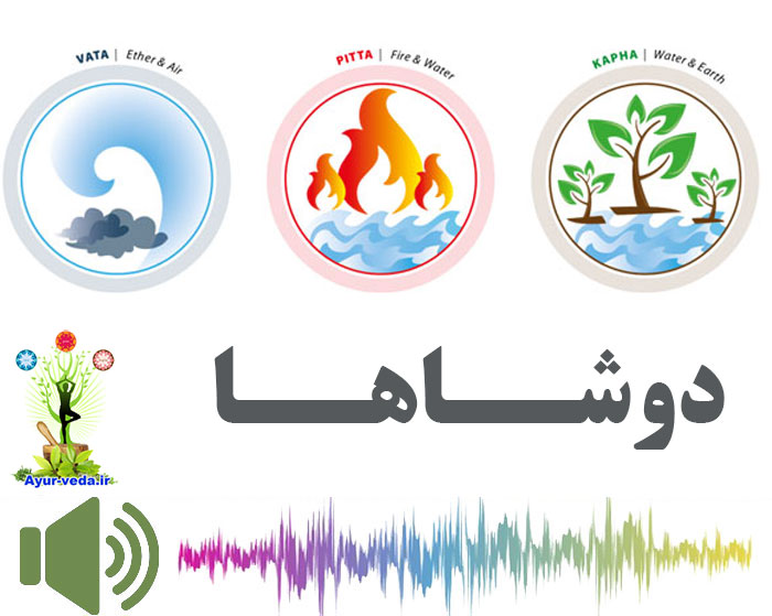 آداب و قواعد خوردن در آیورودا