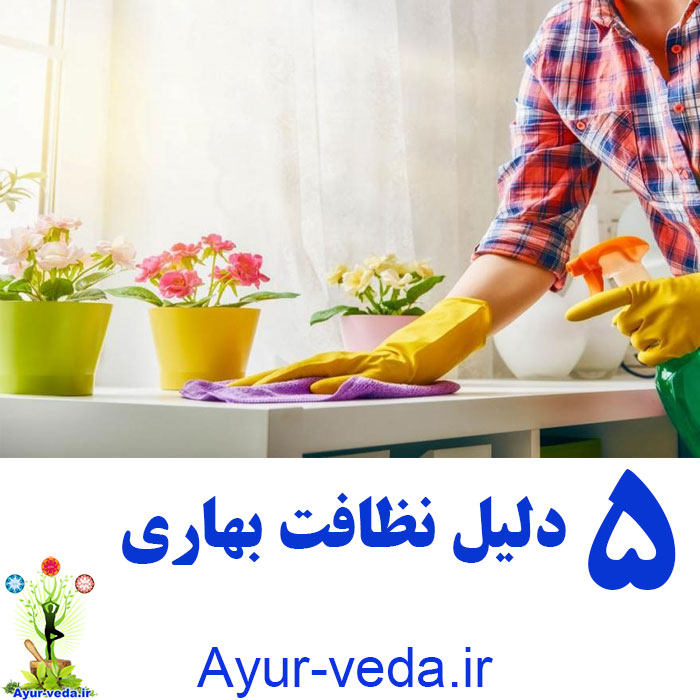 5 Reasons Spring Cleaning 5 دلیل نظافت بهاری