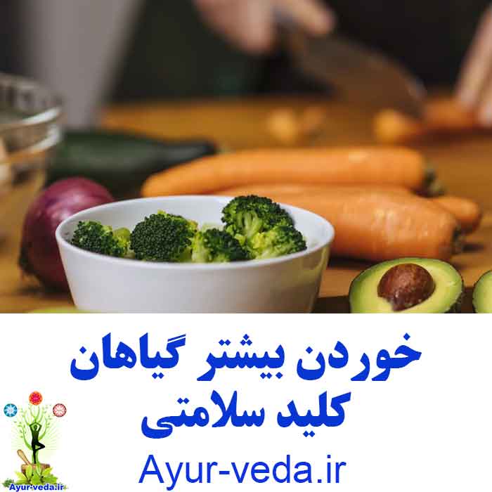 Eating More Plants Is Key To Health خوردن بیشتر گیاهان ، کلید سلامتی