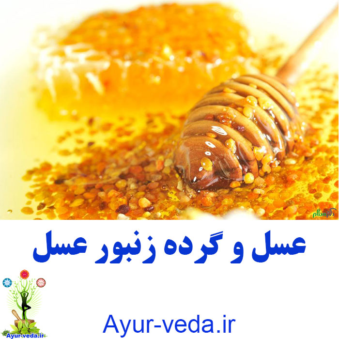Honey - عسل و گرده زنبور عسل