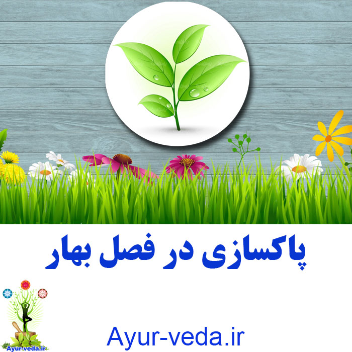 Spring cleaning log - پاکسازی در فصل بهار