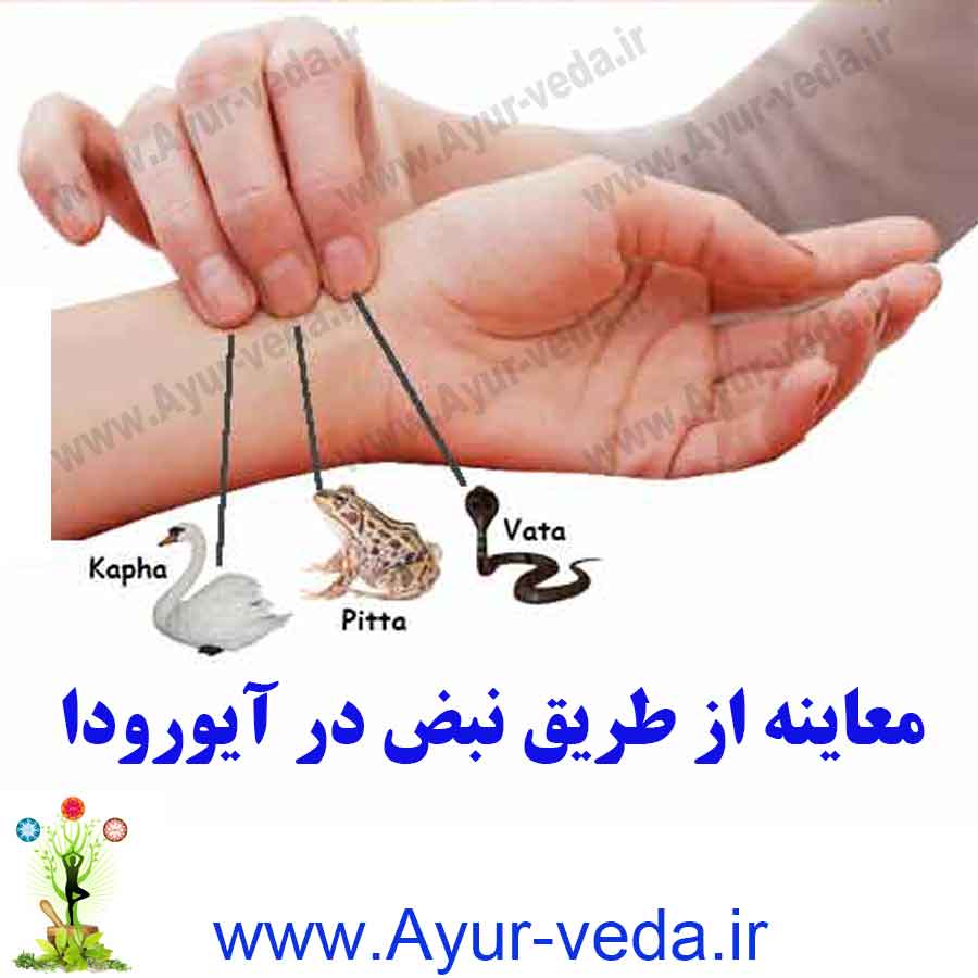 ayurveda pulse diagnosis - معاینه از طریق نبض