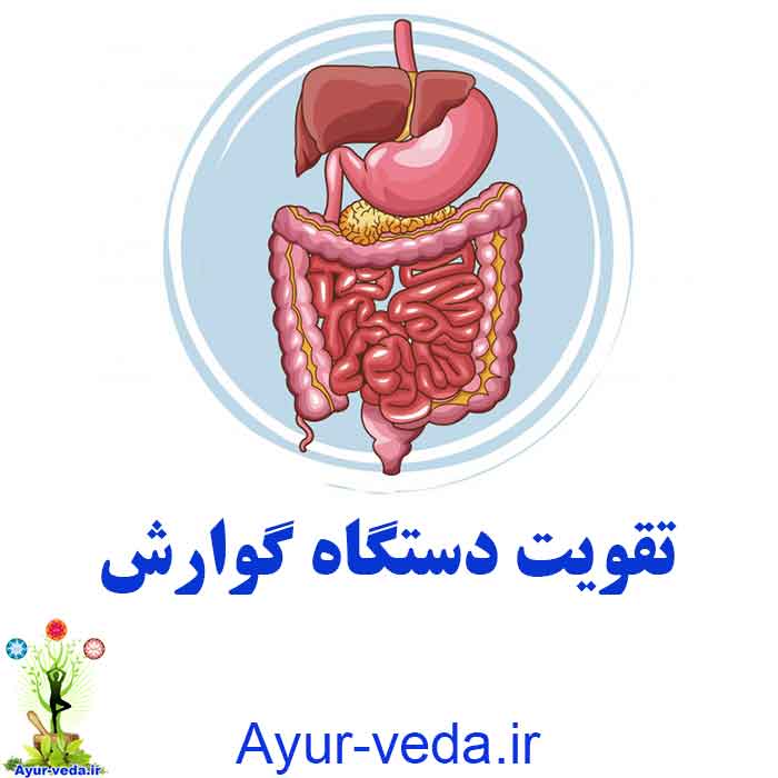 digestive system - تقویت دستگاه گوارش