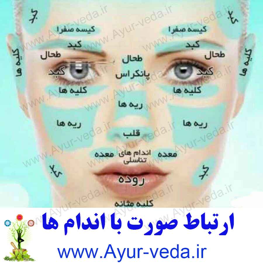 face in ayurveda - ارتباط صورت با اندام ها