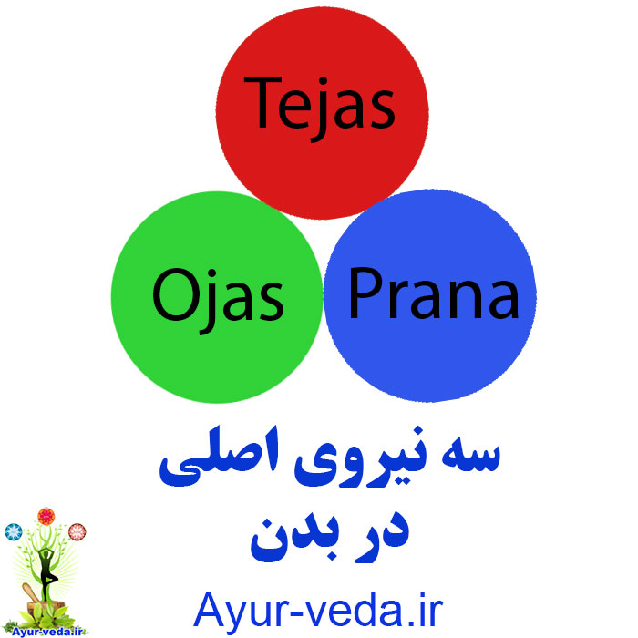 ojas tejas prana - سه نیروی اصلی در بدن