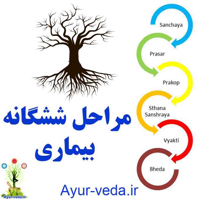 6 stages of disease to ayurveda مراحل ششگانه بیماری در بدن 