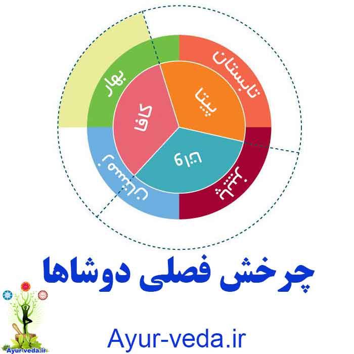 dosha cycle in seasons - چرخش فصلی دوشاها