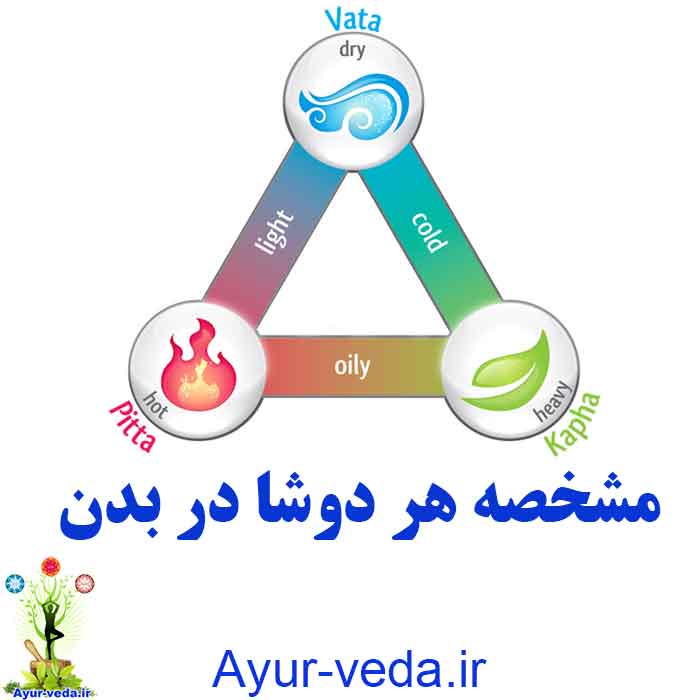 property dosha body - مشخصه هر دوشا در بدن