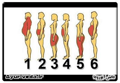 جایی که چربی در بدن ذخیره میشود