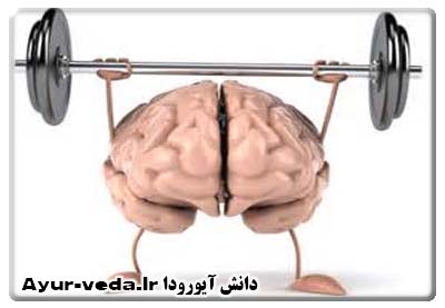  تقويت حافظه با تغذيه