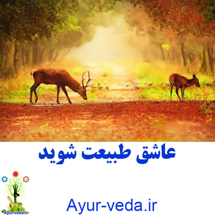 love nature عاشق طبیعت شوید