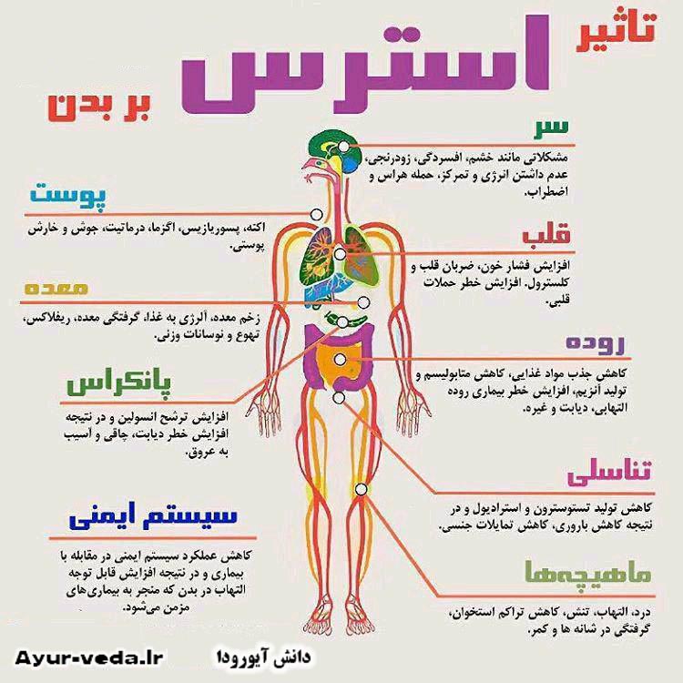 تاثير استرس بر بدن