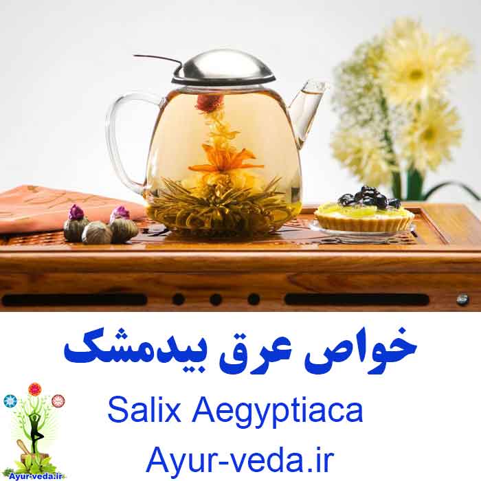 Salix Aegyptiaca - خواص عرق بیدمشک