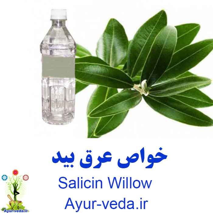 Salicin Willow - خواص عرق بید