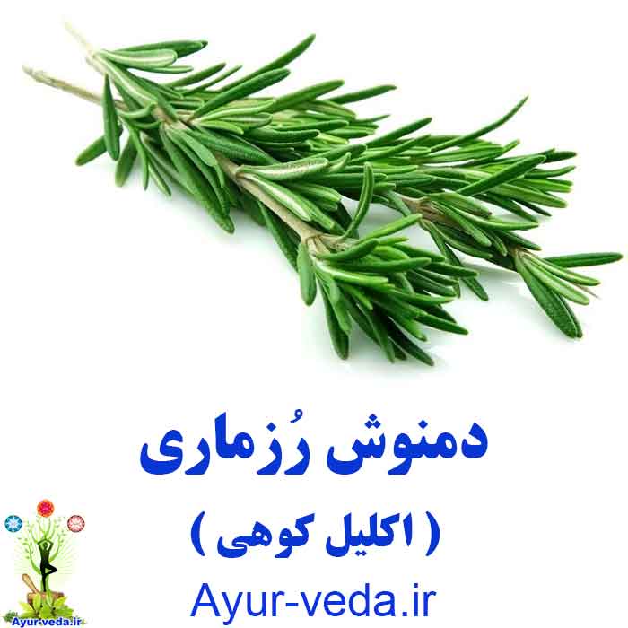 rosemary tea - دمنوش رزماری - اکلیل کوهی