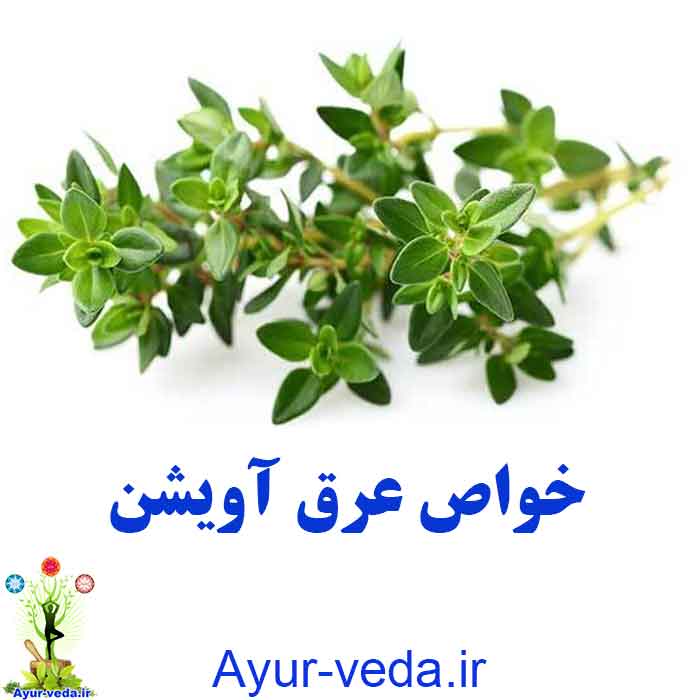 خواص عرق آویشن