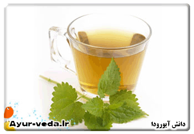 یک فنجان گزنه برای کسب انرژی