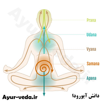 بدن پرانیک و پنج پرانا