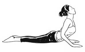 Bhujangasana